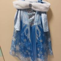 Vestito di carnevale e scarpe Elsa di Frozen 