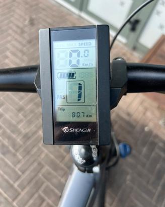 Bicicletta con pedalata assistita