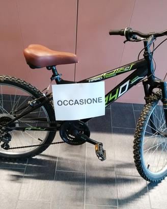 Mountain bike 24 pollici
