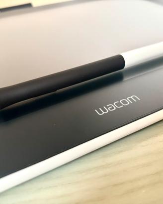 Wacom One DTC133 13,3” Display con Penna