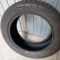 Gomme invernali Falken