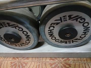 Manubri Pesi Palestra 22 kg Technogym Silver