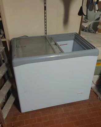 congelatore a pozzetto professionale 