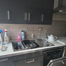 cucina con lavastoviglie e frigorifero 