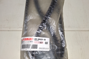Cinghia di distribuzione yamaha F350A 6AW-W4624-00