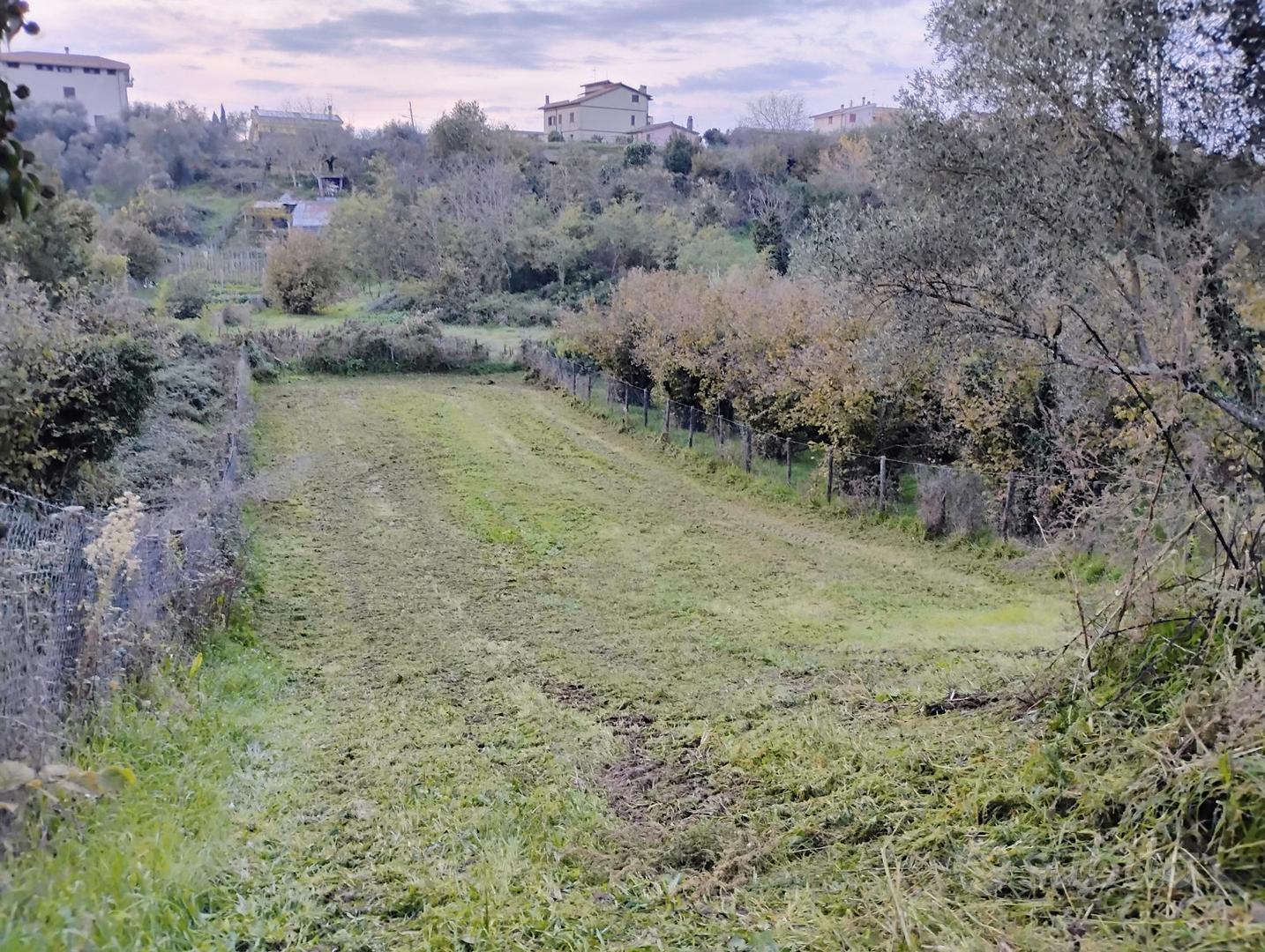 Casetta in campagna - Vista 5