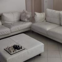 Divani