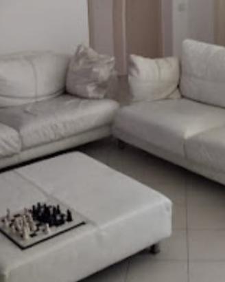 Divani