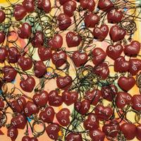 ciondoli cuore calamita 