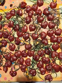 ciondoli cuore calamita 