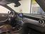 Immagine 8