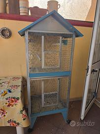 gabbianper volatili e pappagalli 