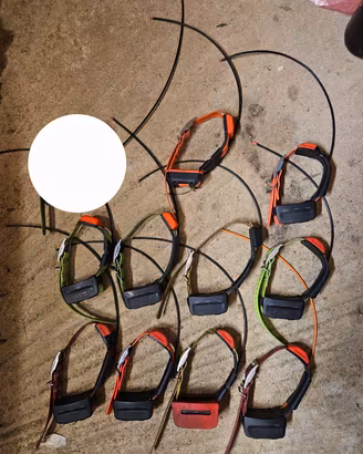 garmin t5  Garmin alpha 200i F Garmin Alpha 50