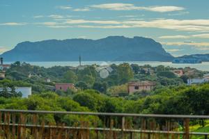 3 LOCALI A OLBIA