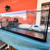 Acquario 120 litri