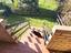 Immagine 16