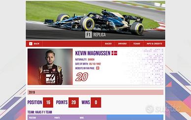 Web designer webmaster e grafico web