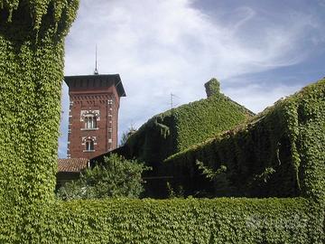 DIRITTI EDIFICATORI a LOMAZZO