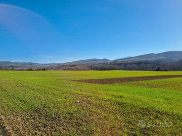 Grande azienda agricola 1100 ha Siena