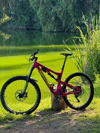 Santa Cruz bronson
