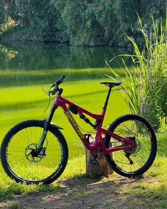Santa Cruz bronson
