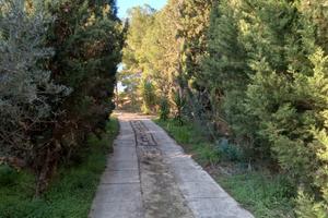 Terreno agricolo