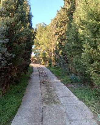 Terreno agricolo
