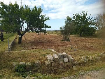 Terreno con due pozzi