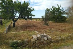 Terreno con due pozzi