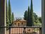 Immagine 9