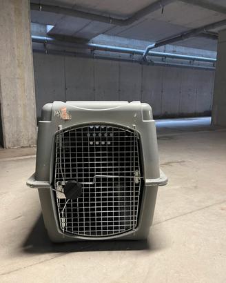 Kennel per trasporo cani grandi omologato IATA