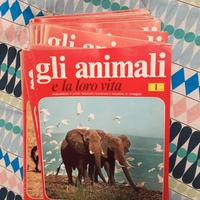 Fascicoli sugli animali 