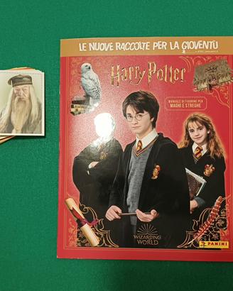 Harry Potter figurine.