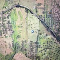 TER. AGRICOLO A SANT'ANGELO ROMANO