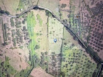 TER. AGRICOLO A SANT'ANGELO ROMANO