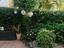 Immagine 26