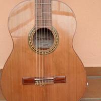 Chitarra  Brasiliana. Giannini classica