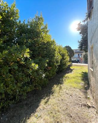 Panorama da urlo e indipendenza, vieni a scoprirla