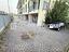 Immagine 6