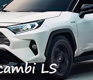 Ricambi per toyota rav 4 2019