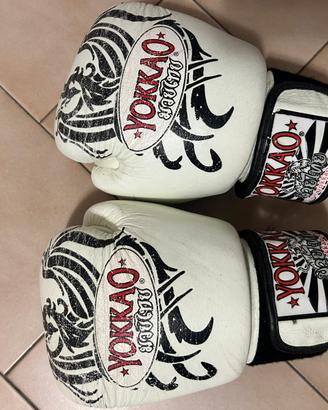 Guantoni boxe
