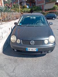 autovettura polo