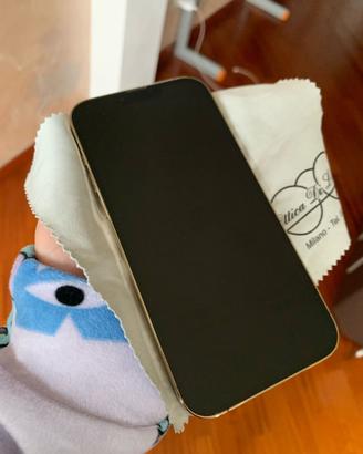 iPhone 13 Pro Max 256 giga