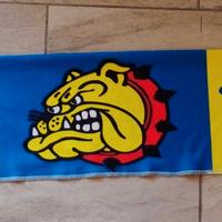 Sciarpa ultras cani randagi carrarese curva nord