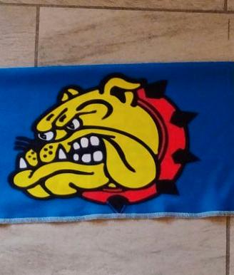 Sciarpa ultras cani randagi carrarese curva nord
