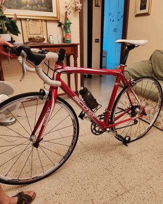 bicicletta 