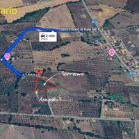 Terreno agricolo 7350 mq. con annesso di 20 mq