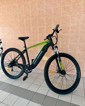 E-Mtb Argento Performance 29 Tg’L
