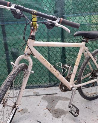 🚲Bici inVend– & Capovilla Bian