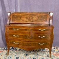 Calatoia ribalta Napoletana